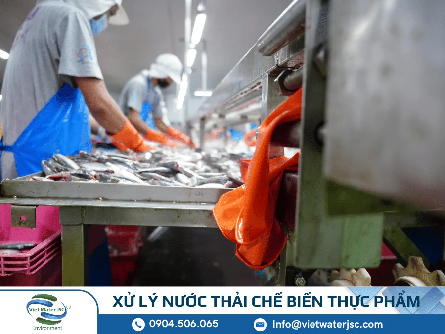xu-ly-nuoc-thai-che-bien-thuc-pham-2 (2)